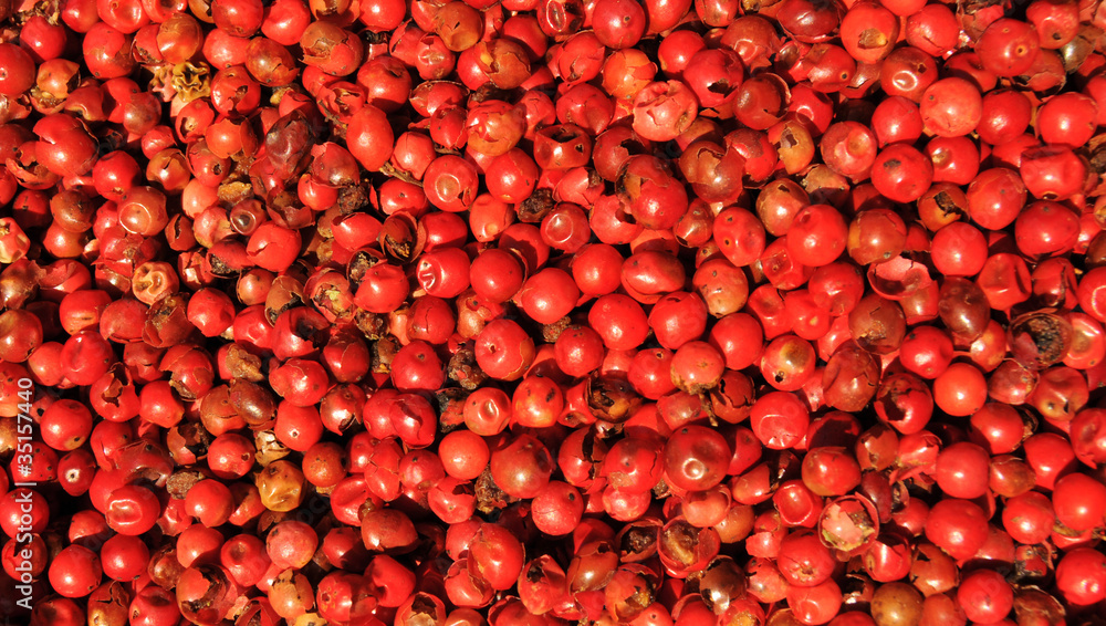 Red pepper Red pepper