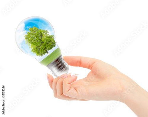 Environmental concept Renewable Energy