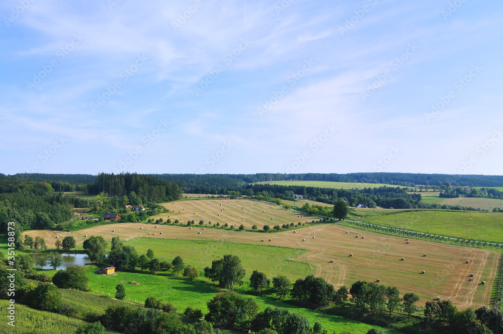 Summer landscpae Summer landscpae