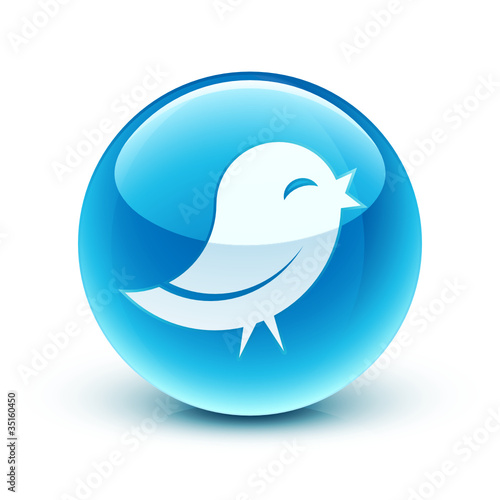 icône oiseau information / bird icon