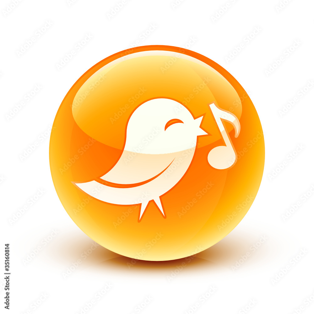 Fototapeta premium icône oiseau information / bird icon