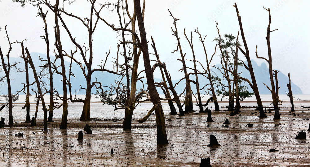 bako national park