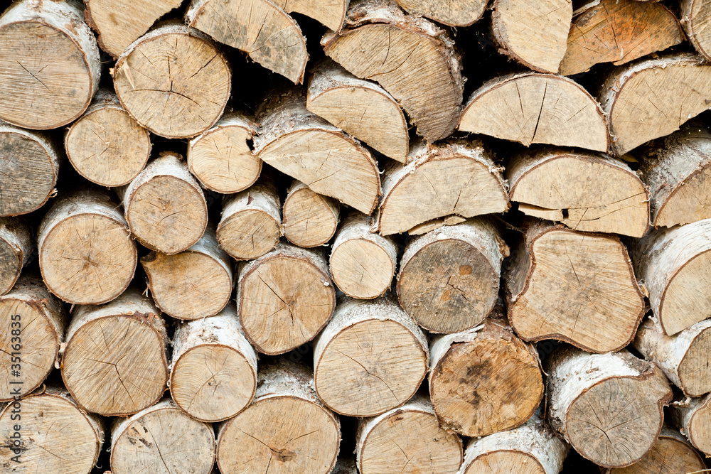 Stack of cuted birch tree trunks as firewood Stack of cuted birch tree trunks as firewood