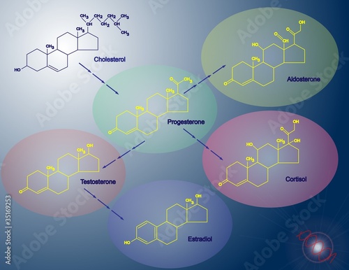 Steroidogenesis