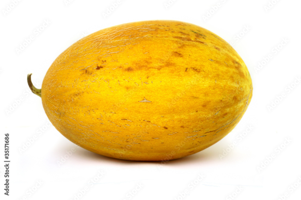 Cantaloupe Melon Cantaloupe Melon
