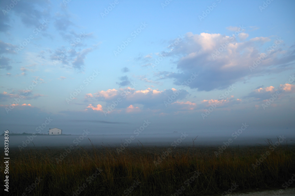 Fototapeta premium foggy meadow landscape gray winter fog