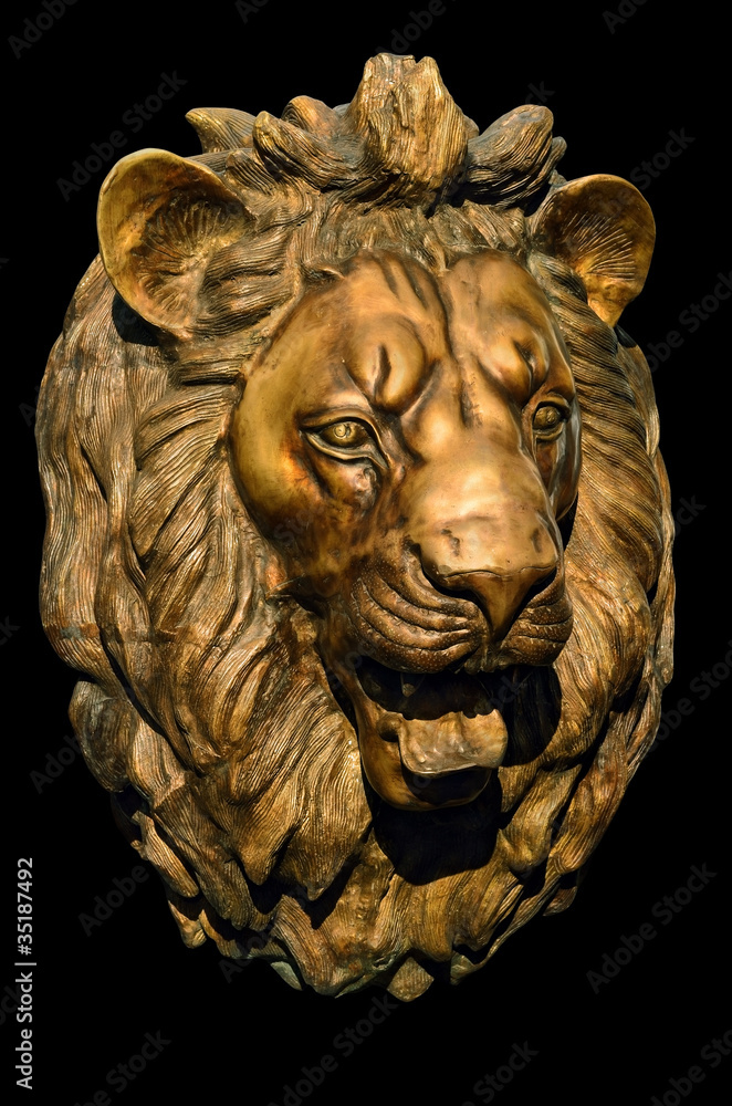 Obraz premium Bronze lion head on black