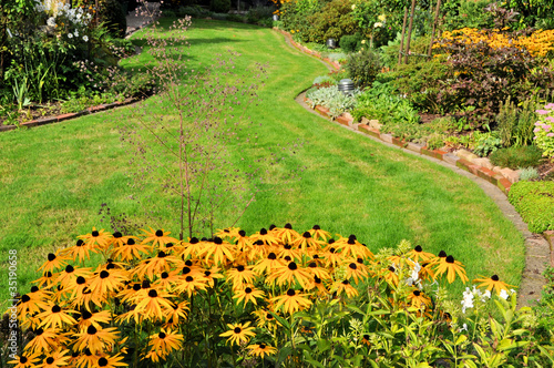 Herbstgarten mit Rudbeckia