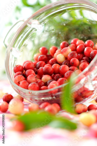 Sprinkled cranberries in a glass bowl on a table.