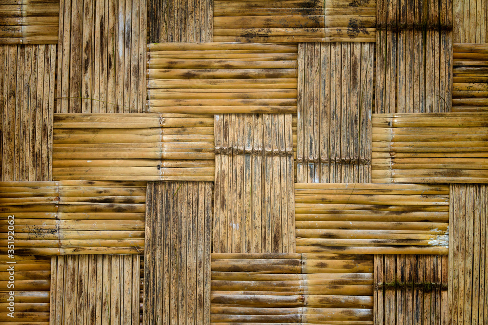Bamboo Bamboo