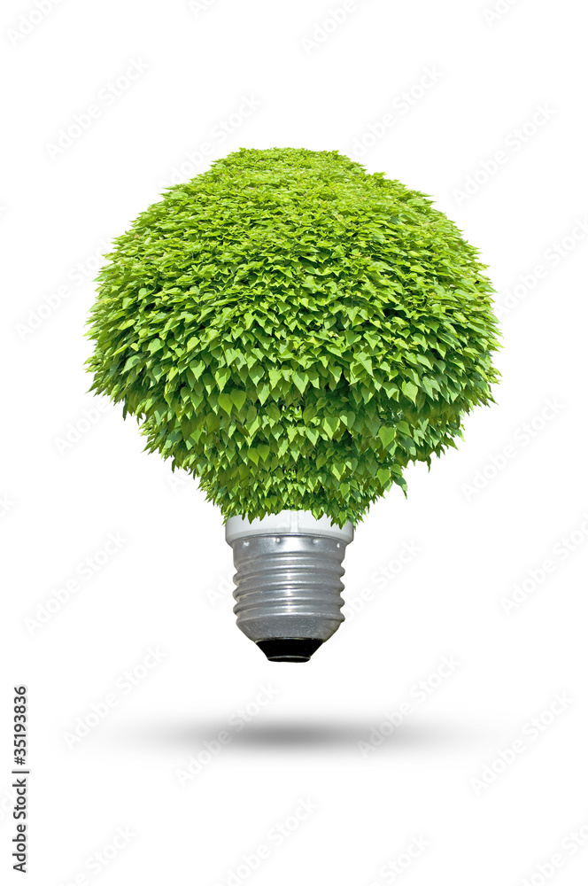 Renewable energy source - Green lightbulb concept - obrazy, fototapety, plakaty 