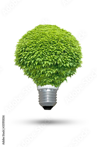 Renewable energy source - Green lightbulb concept