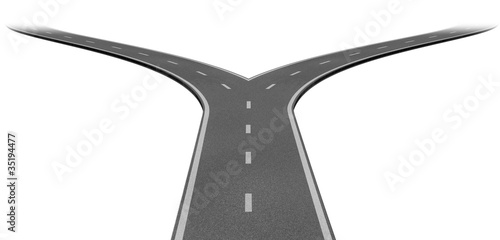 Fork in the road