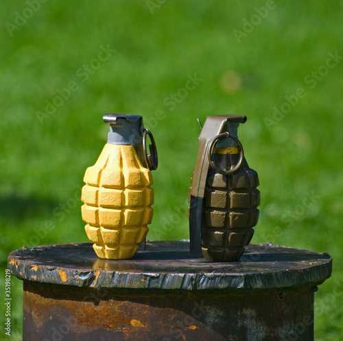 Obraz w ramie Grenades