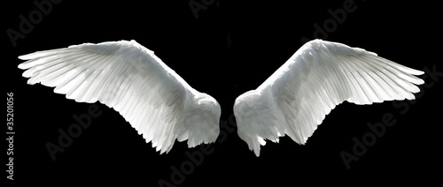 Obraz na plátně Angel wings isolated on the black background