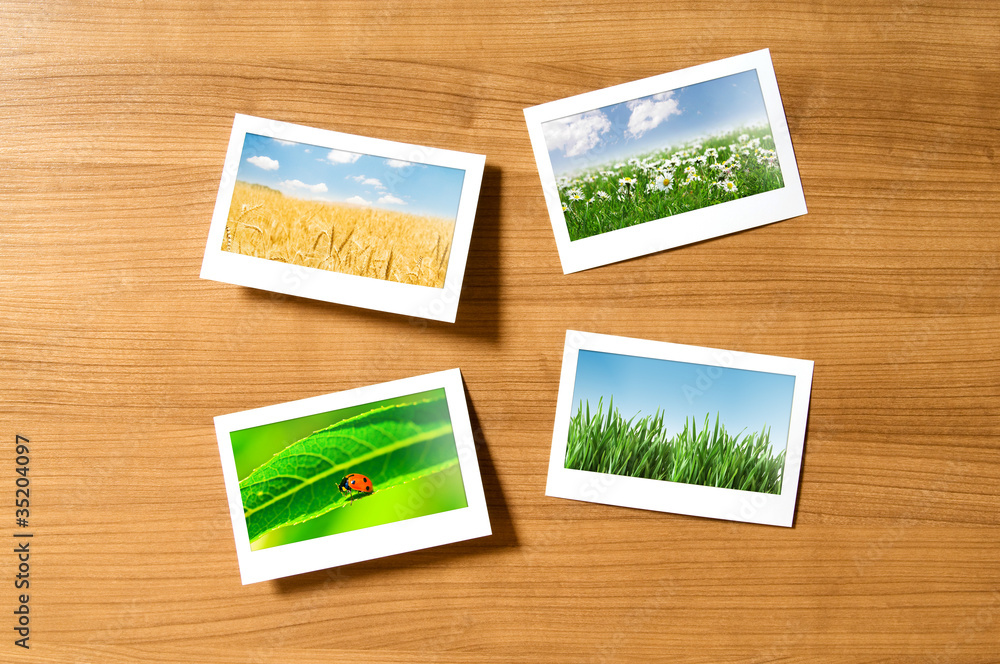 Fototapeta premium Nature photos in picture frames