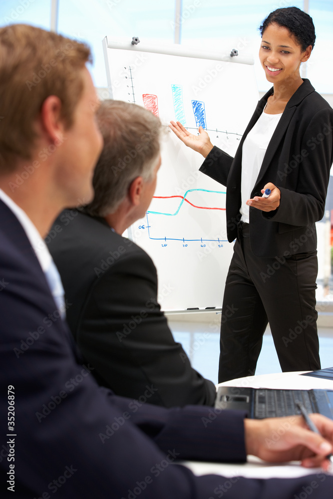 Fototapeta premium Business presentation