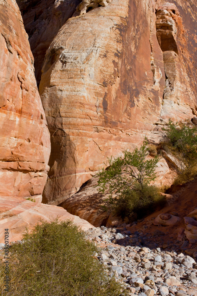 Valley of Fire