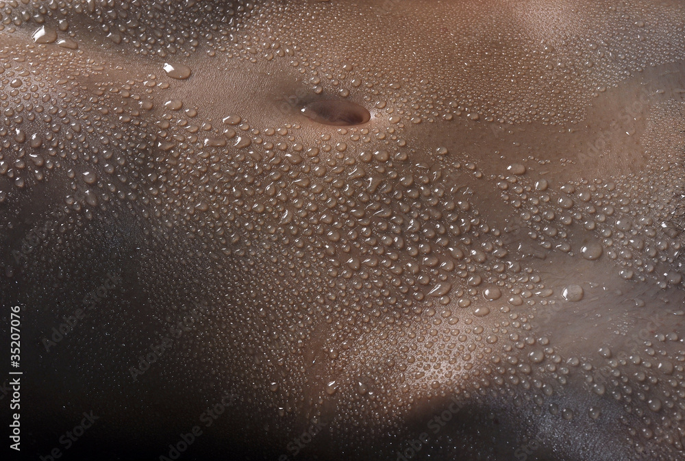 Belly of guy with drops Belly of guy with drops