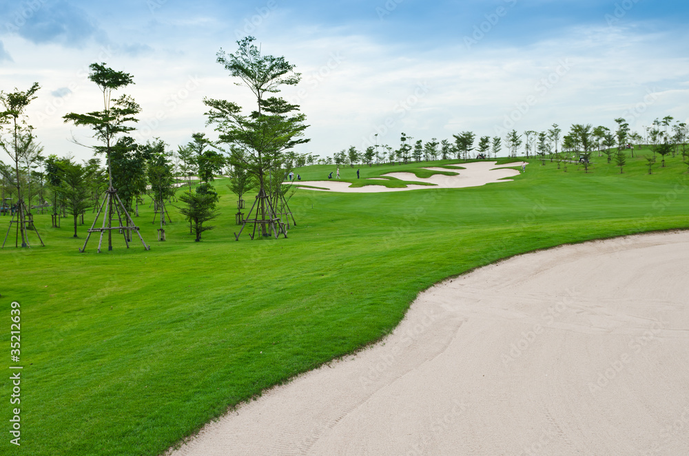 landscape of golf course