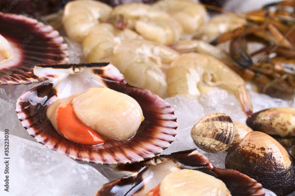 Raw queen scallops and other seafood Raw queen scallops and other seafood