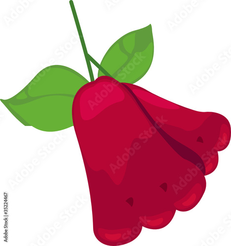 Rose apple