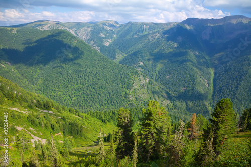 Top view of forest mountains