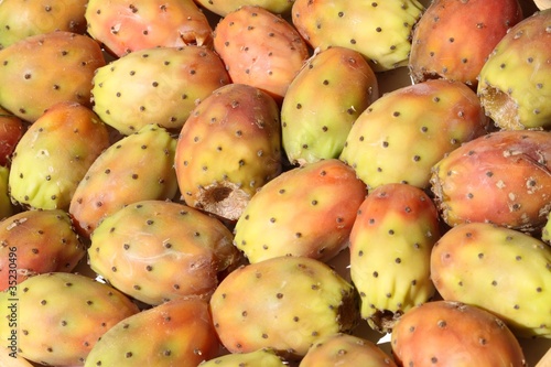 Photos Fond de figues de barbarie