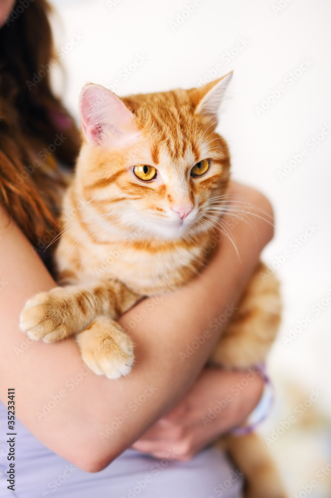 Girl holding beautiful orange tomcat