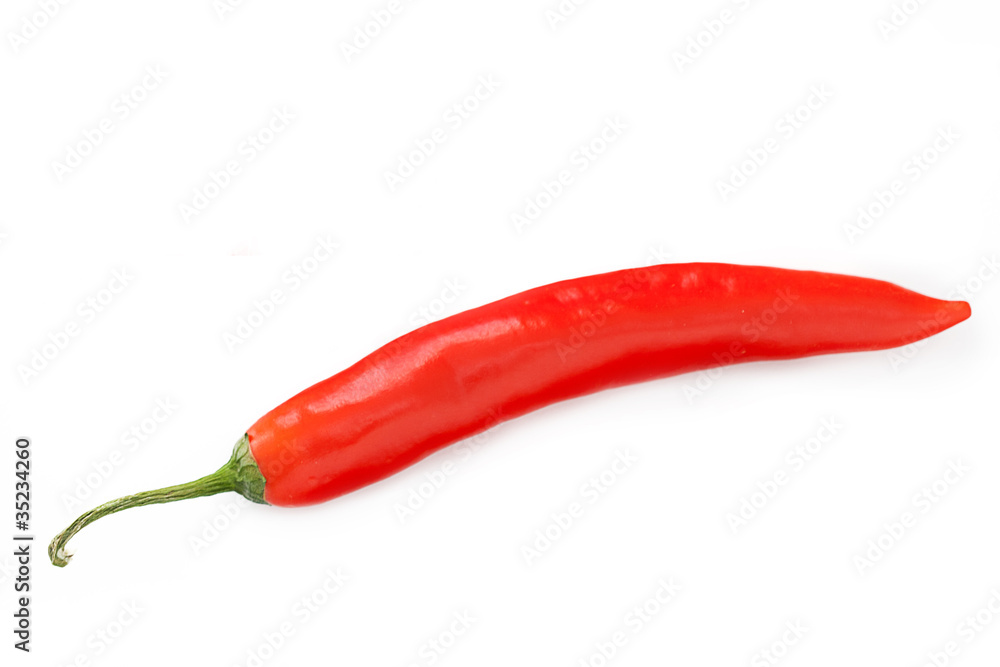 Chilli Pepper Chilli Pepper