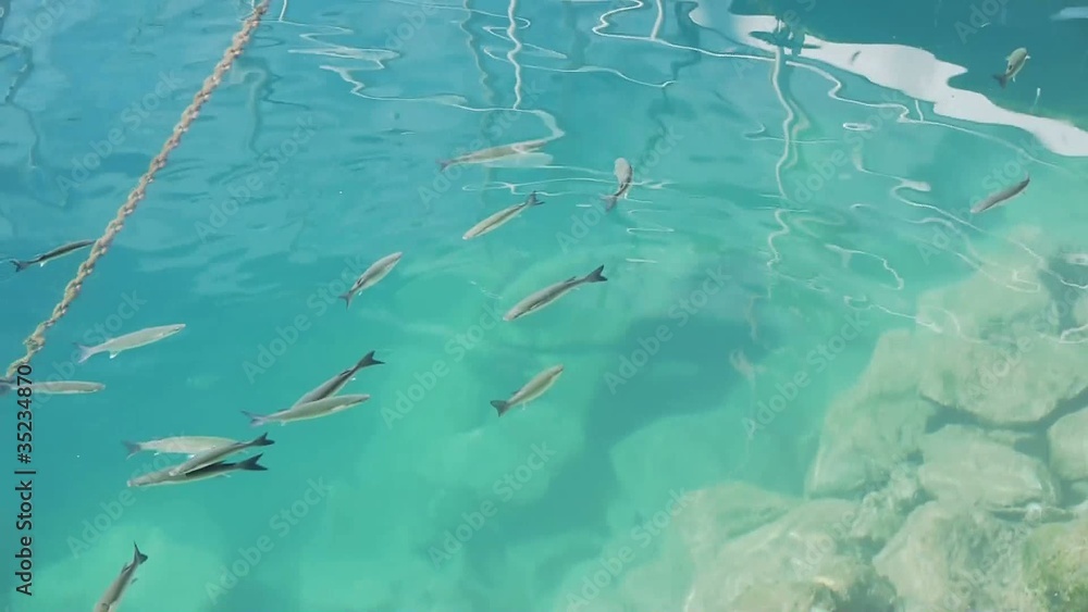 Gran Canaria - Puerto de Mogan - Clear Water in Harbour Gran Canaria - Puerto de Mogan - Clear Water in Harbour