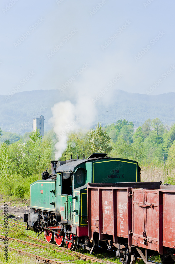 Obraz premium parowy pociąg towarowy, Durdevik, Bośnia i Hercegowina
