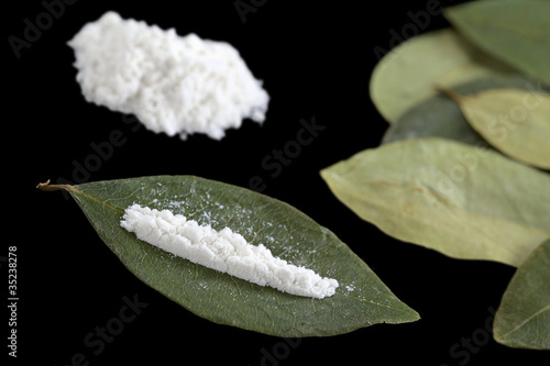 Photography Cocaine powder (substituted by flour) on a dried coca leaf