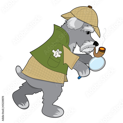 Schnauzer Detective
