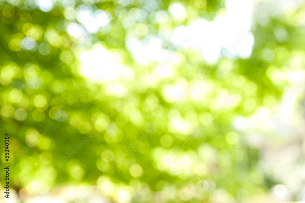 green background green background