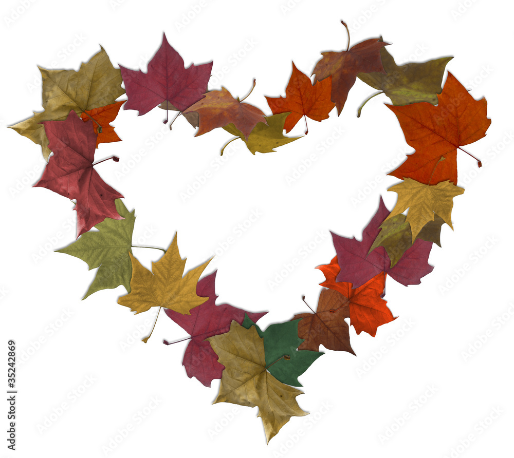 Empty heart isolated over white with autumn leaves Empty heart isolated over white with autumn leaves