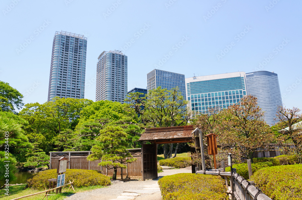 Fototapeta premium Hamarikyu Gardens in Tokyo, Japan