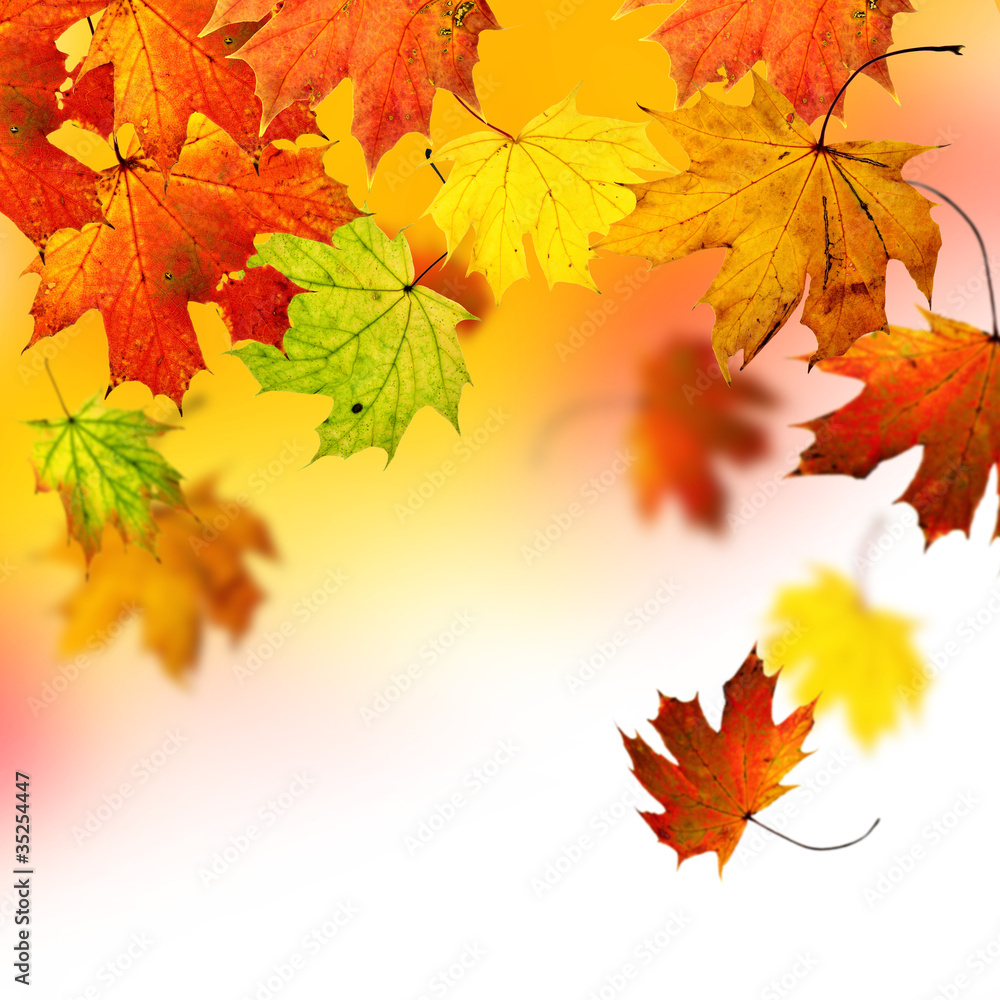 Autumn background Autumn background