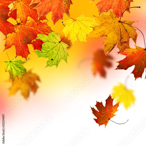 Autumn background