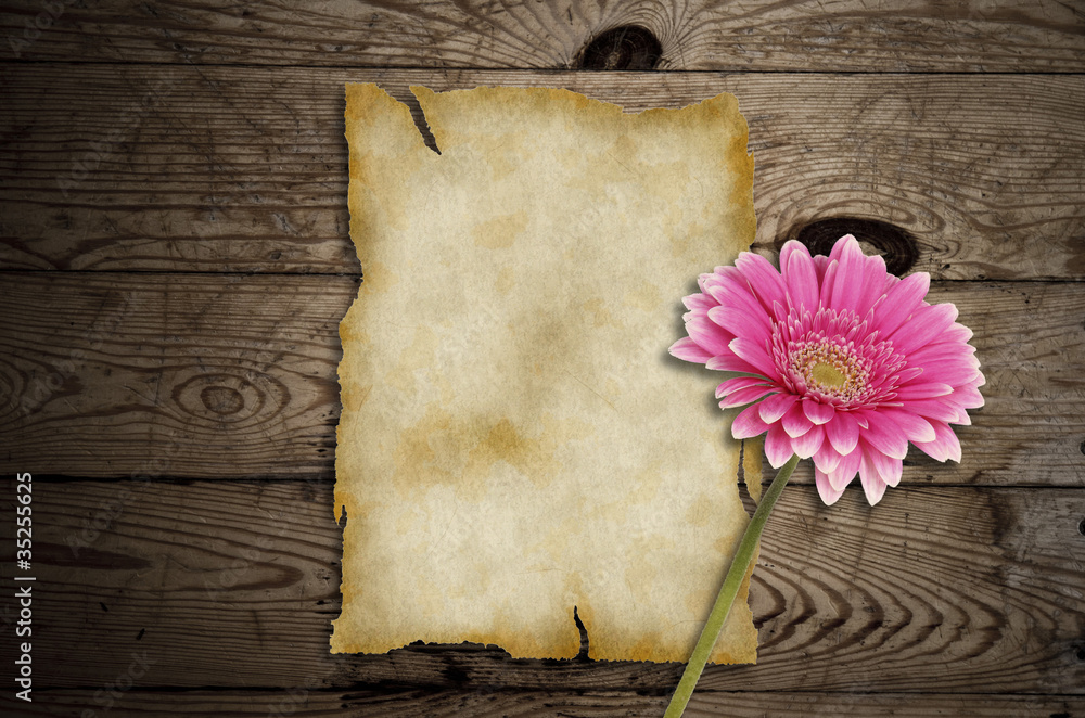 Old paper with gerber flower on wooden background Old paper with gerber flower on wooden background