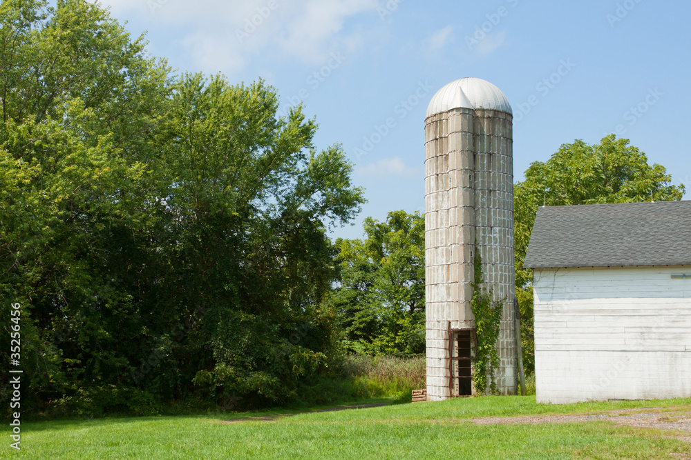 Grain silo on the farmland.