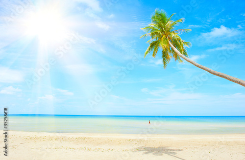 Fototapeta Naklejka Na Ścianę i Meble -  Beautiful beach with palm tree over the sand