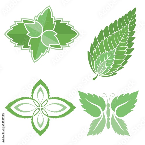 Mint leaves icons