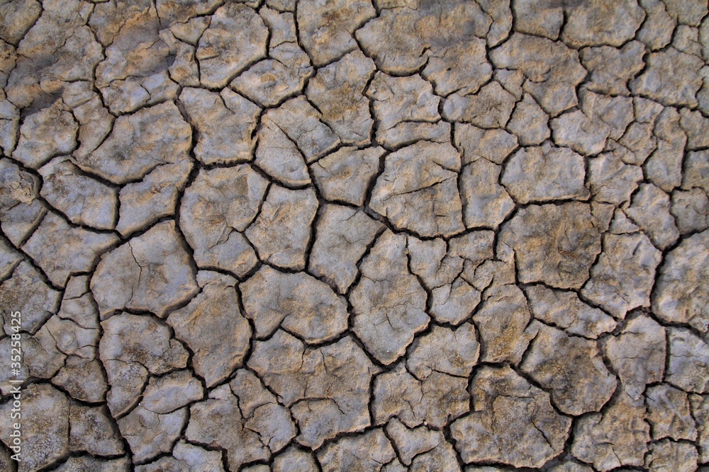 dry cracked soil background