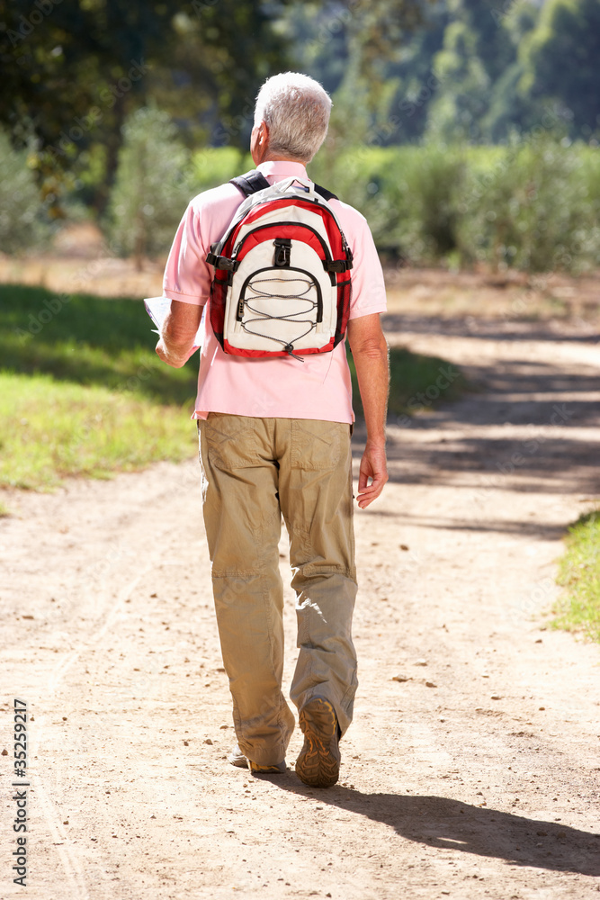 Naklejka premium Senior man reading map on country walk