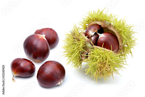 Chestnuts in husk, isolated on a white background