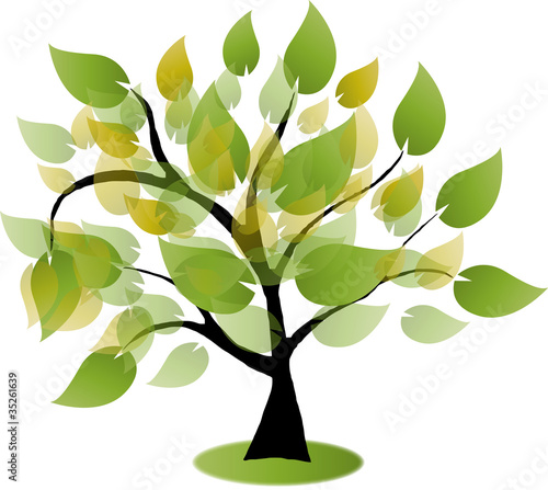 Baum, Blätter, Bio