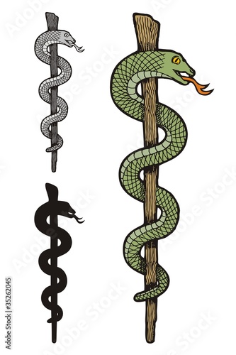 One snake caduceus