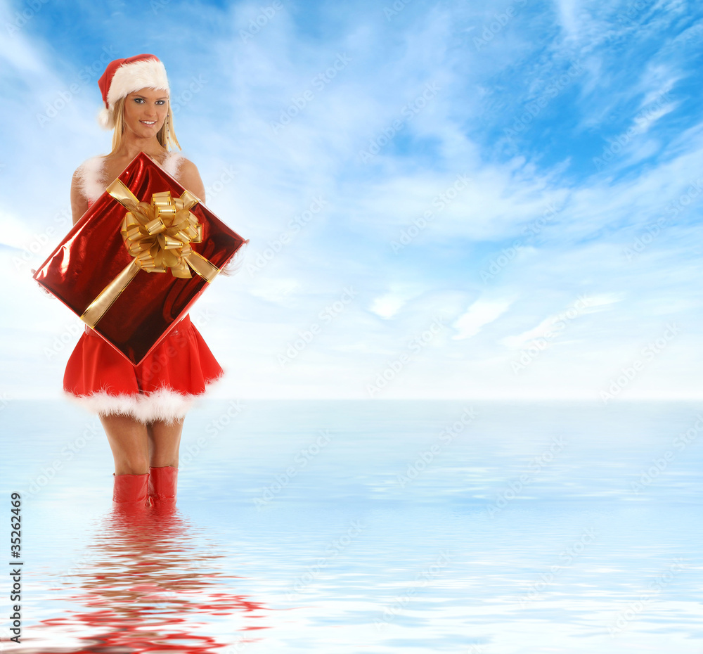 Obraz premium Young sexy Santa with a big present