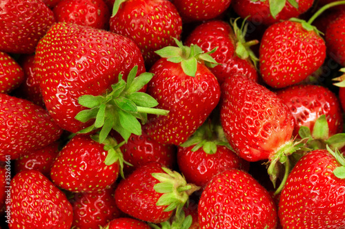 Strawberry background